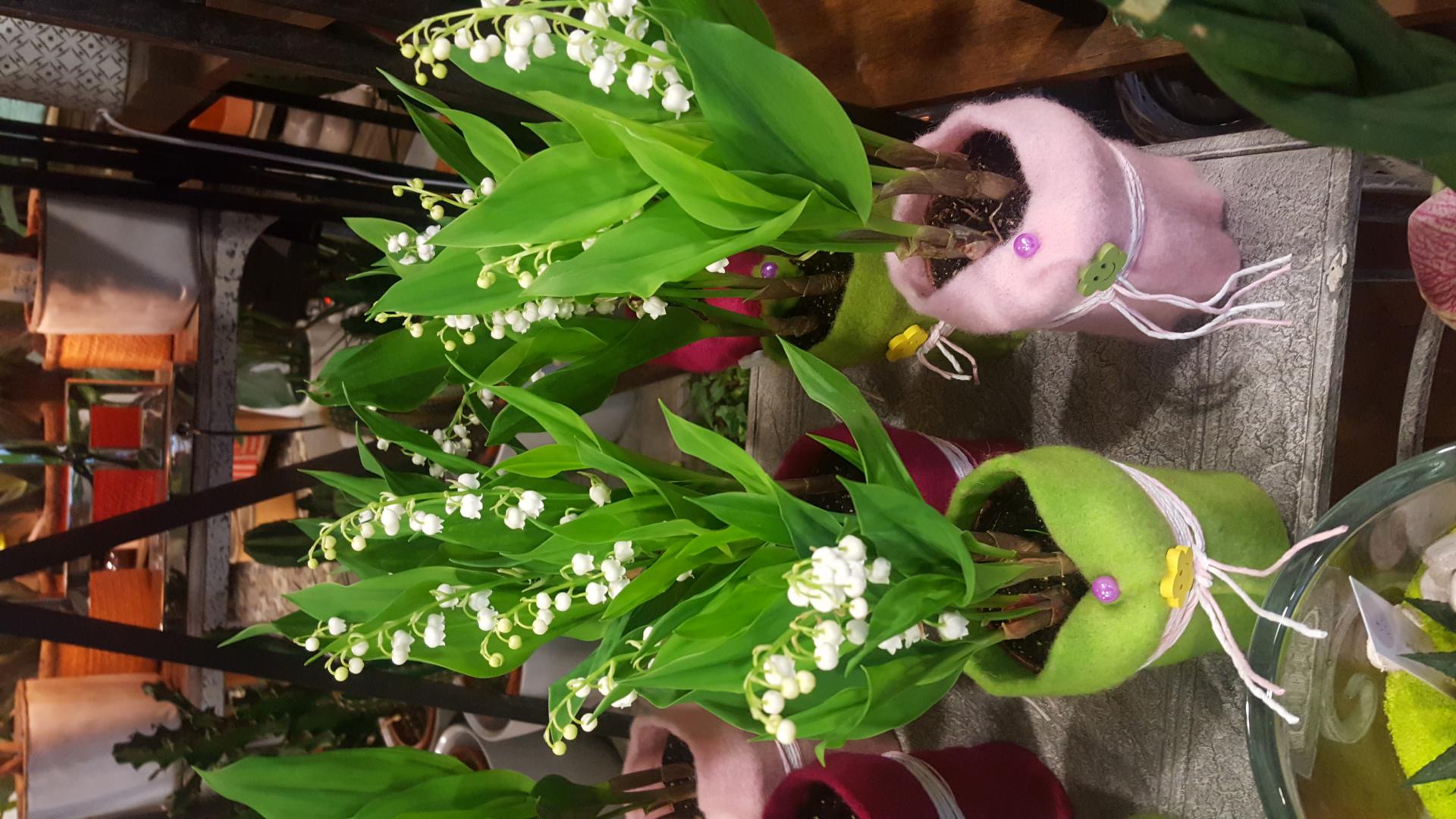 1er mai et muguet by Hé fleur et moi fleuriste valenciennes hainaut nord denain anzin la Sentinelle