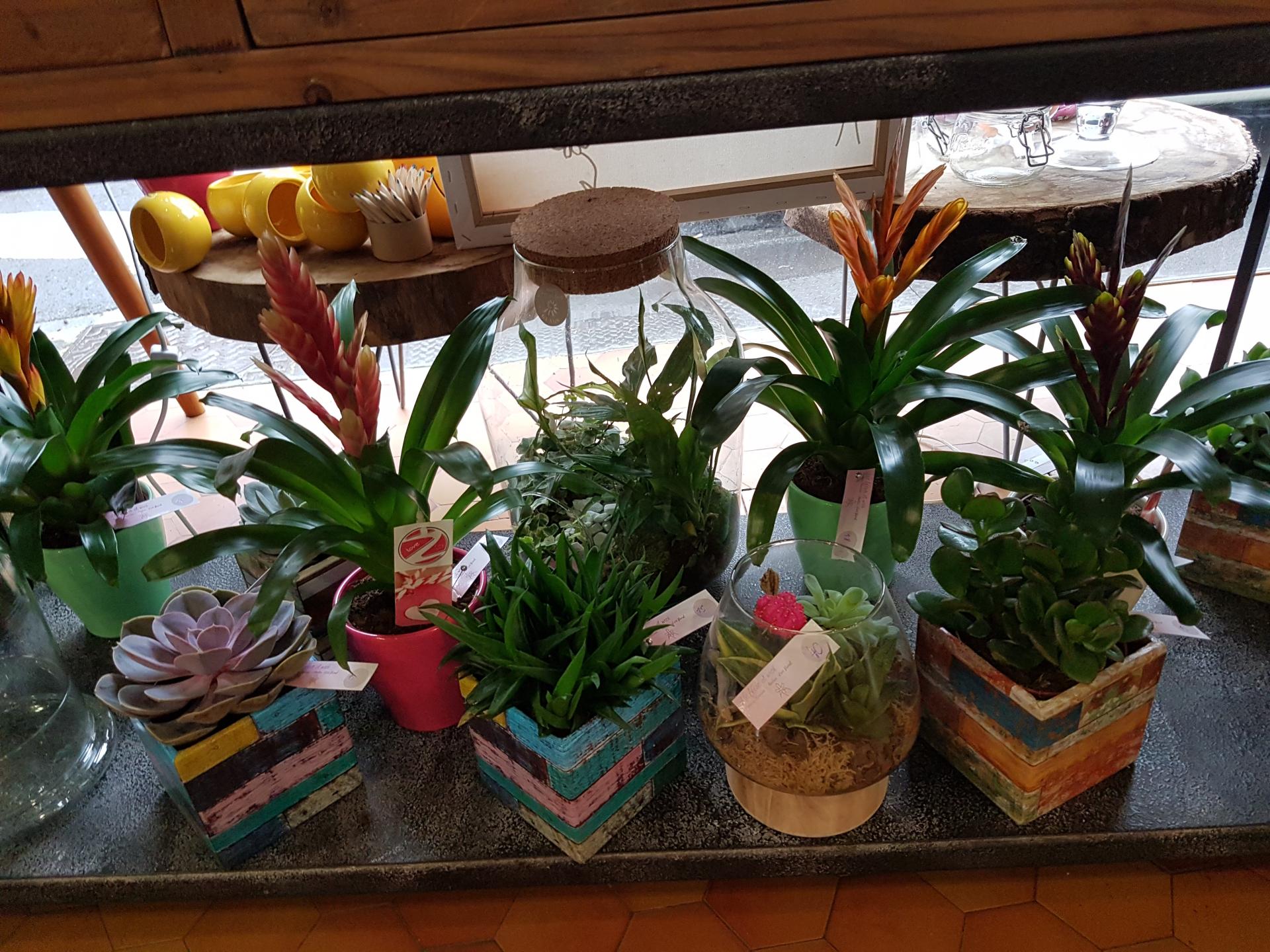 L'été chez hé fleur et moi fleuriste de Valenciennes idée cadeau