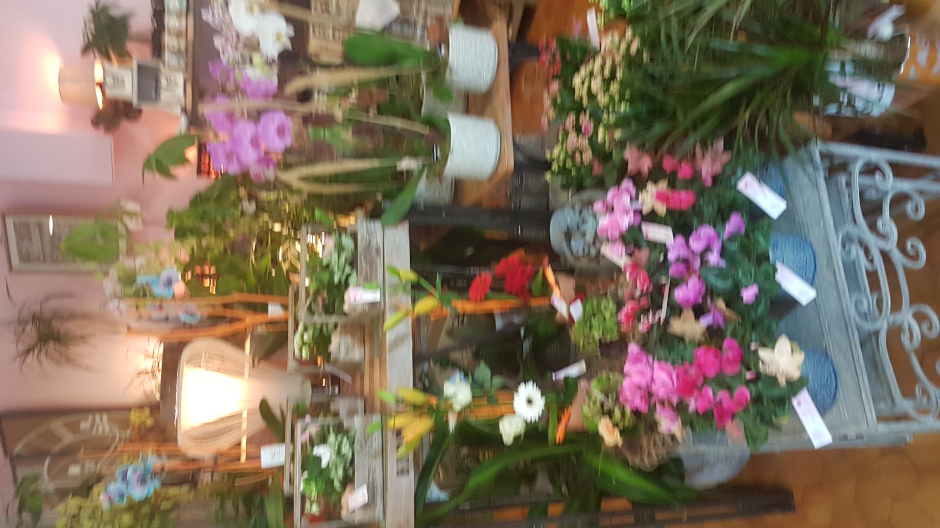 20180901 162850