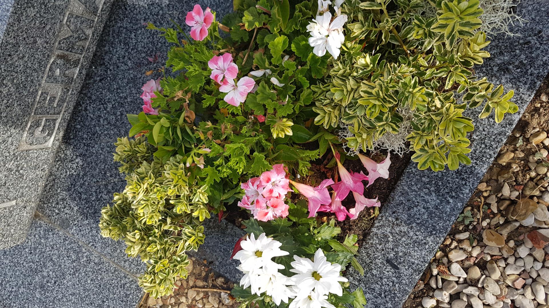 20180916 105316