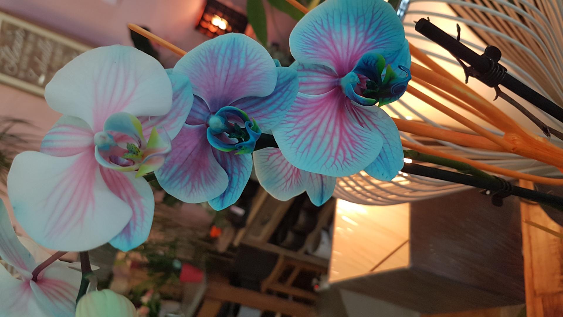20180916 122945
