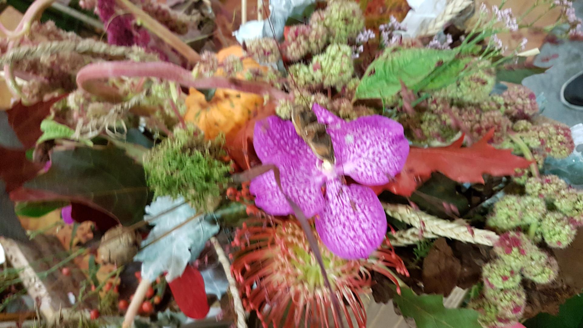 20180929 191216
