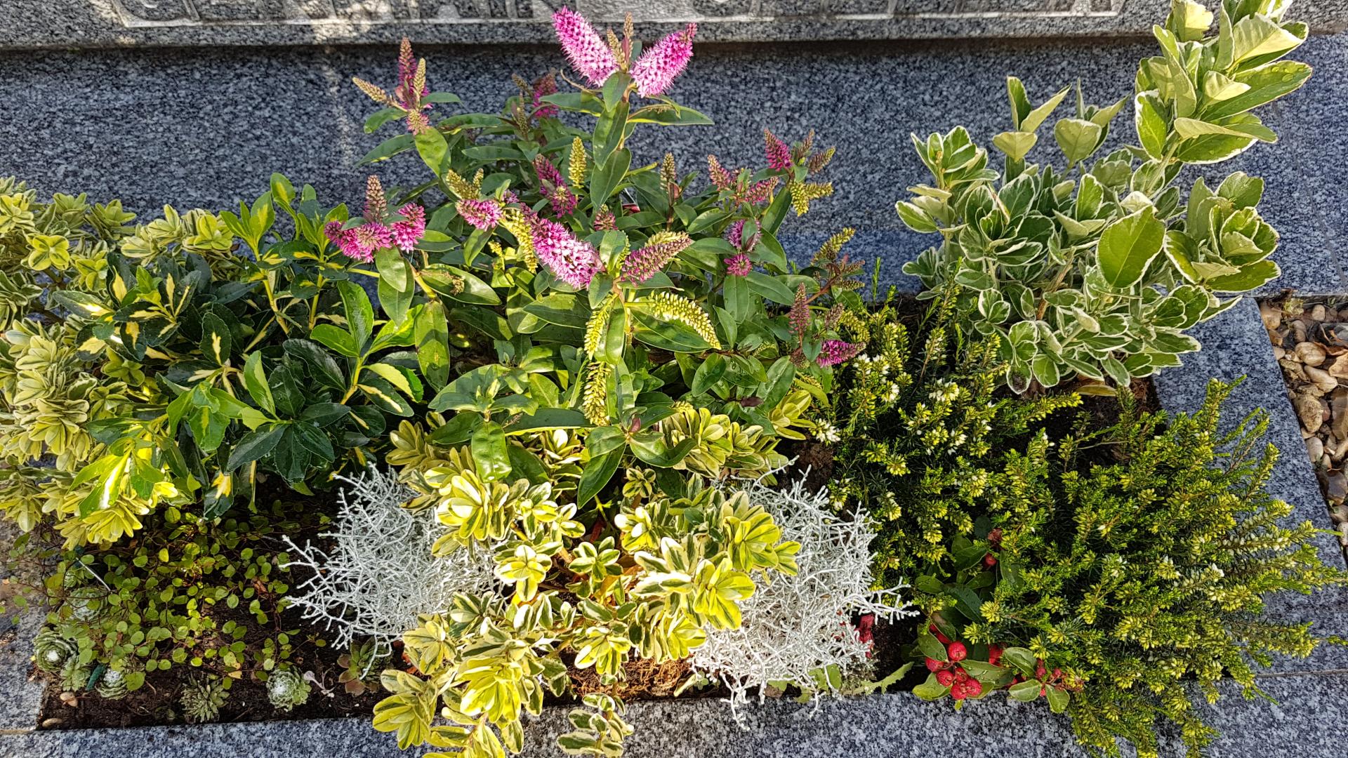 20181006 095741