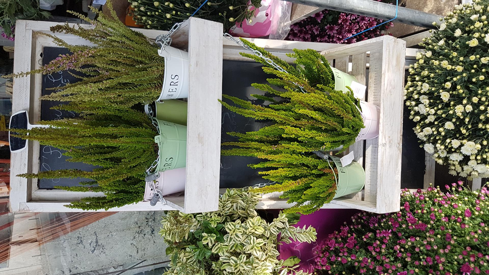 20181020 135039