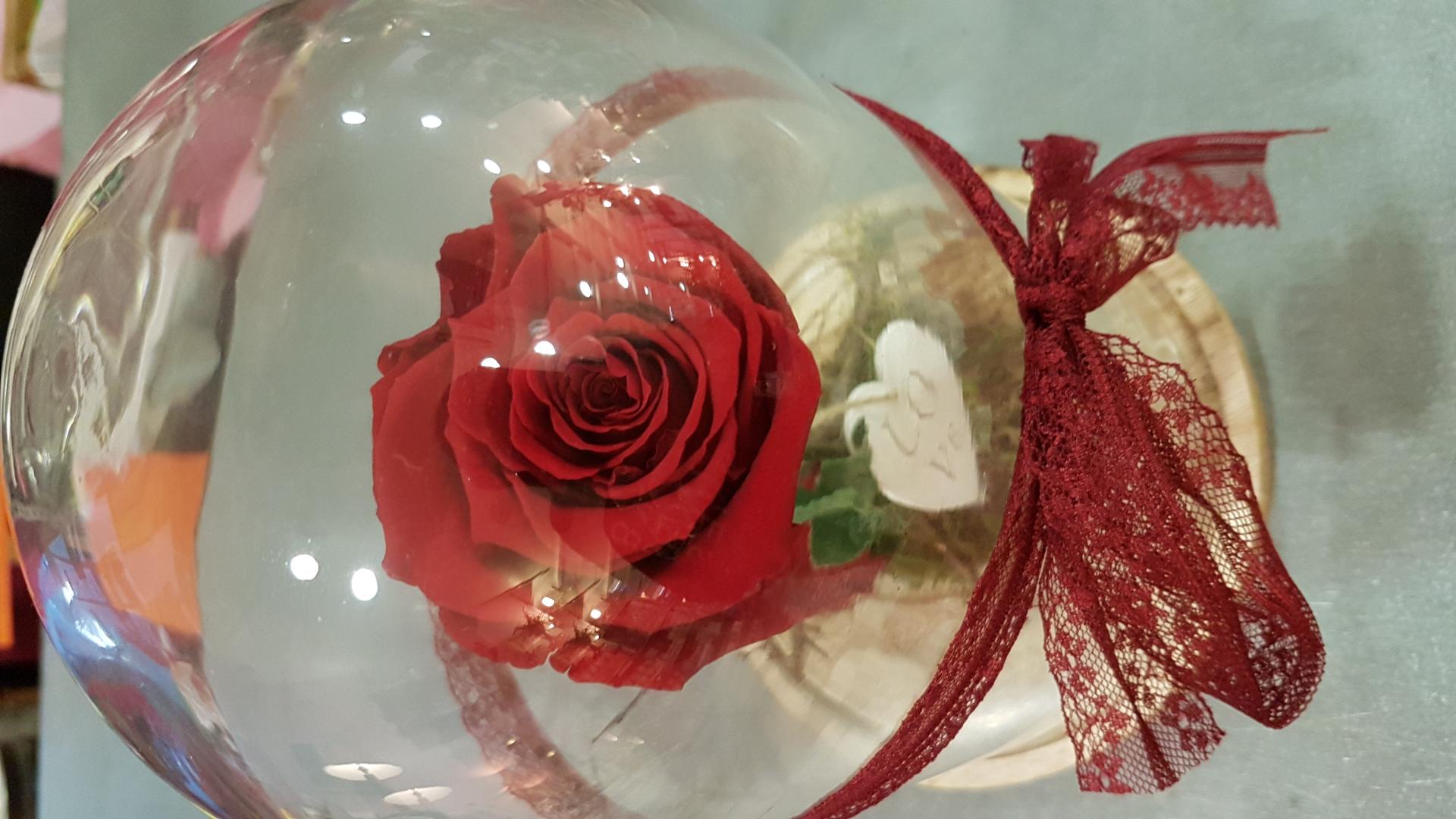 Rose éternelle Chez Hé Fleur Et Moi Fleuriste Valenciennes
