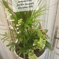 Muguet fleuriste valenciennes