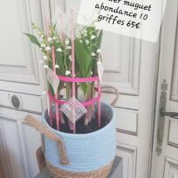 Muguet fleuriste valenciennes