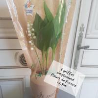 Muguet fleuriste valenciennes