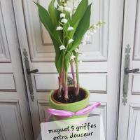 Muguet fleuriste valenciennes