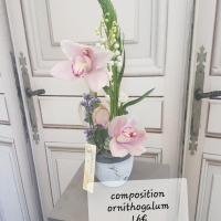 Muguet fleuriste valenciennes