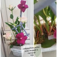 Muguet fleuriste valenciennes