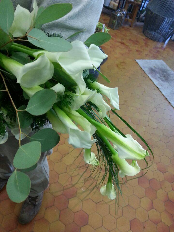 Arum1