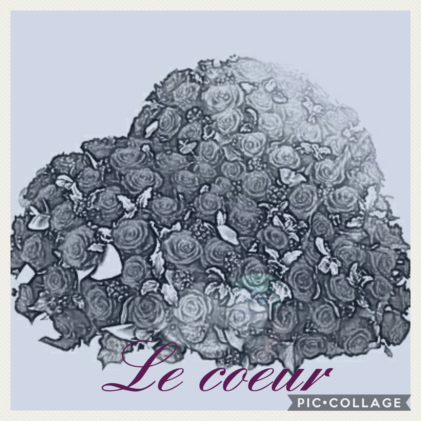 Collage 2017 07 19 08 58 20