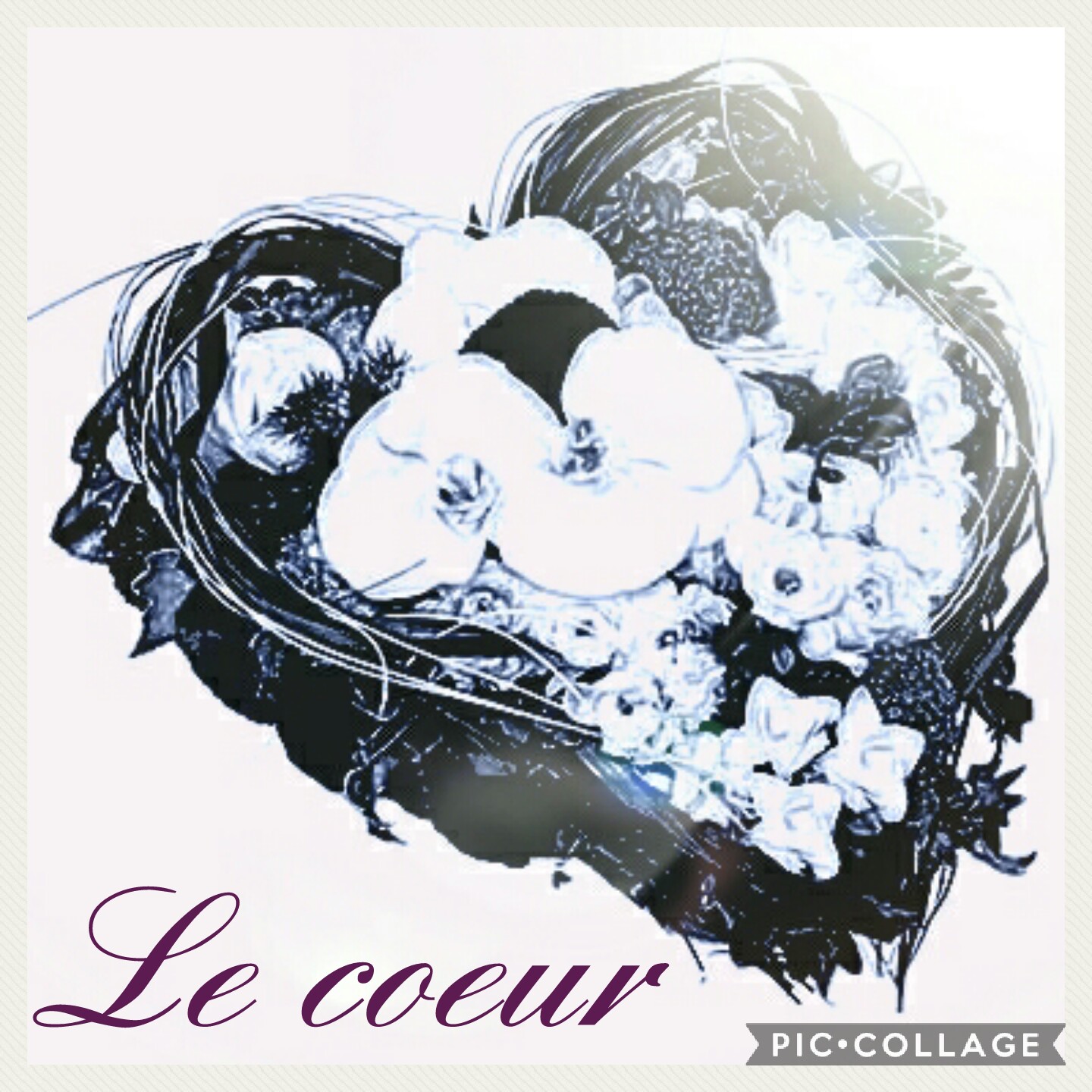 Coeur deuil Hé fleur et moi fleuriste valenciennes fleurs Denain Saint Amandine Le Quesnoy