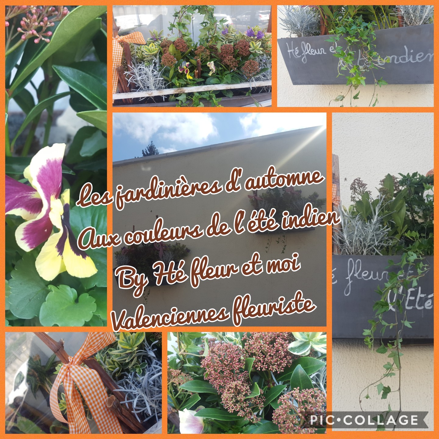 Jardin et fleur jardinières Hé fleur et moi fleuriste valenciennes