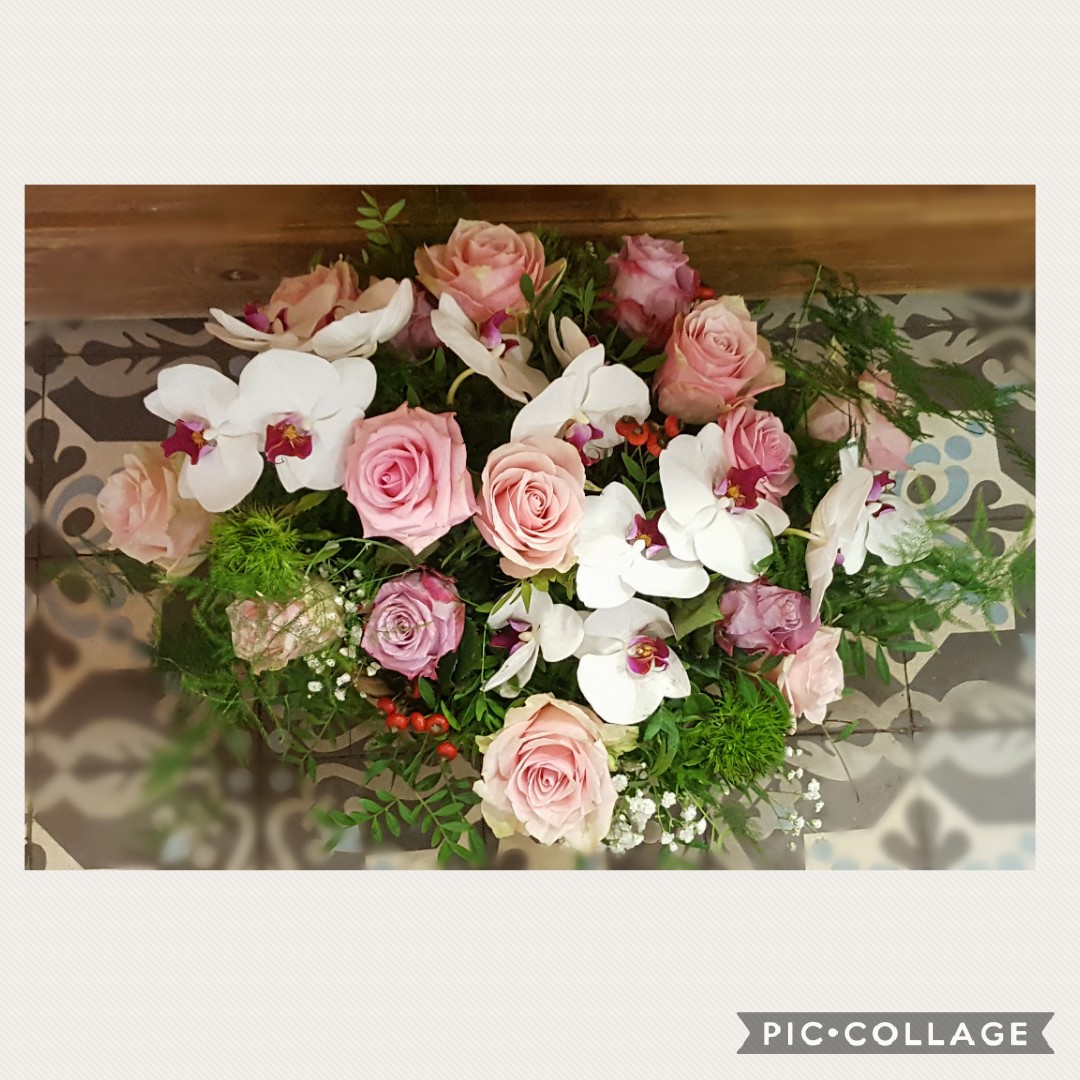 Collage 2017 11 09 09 42 18