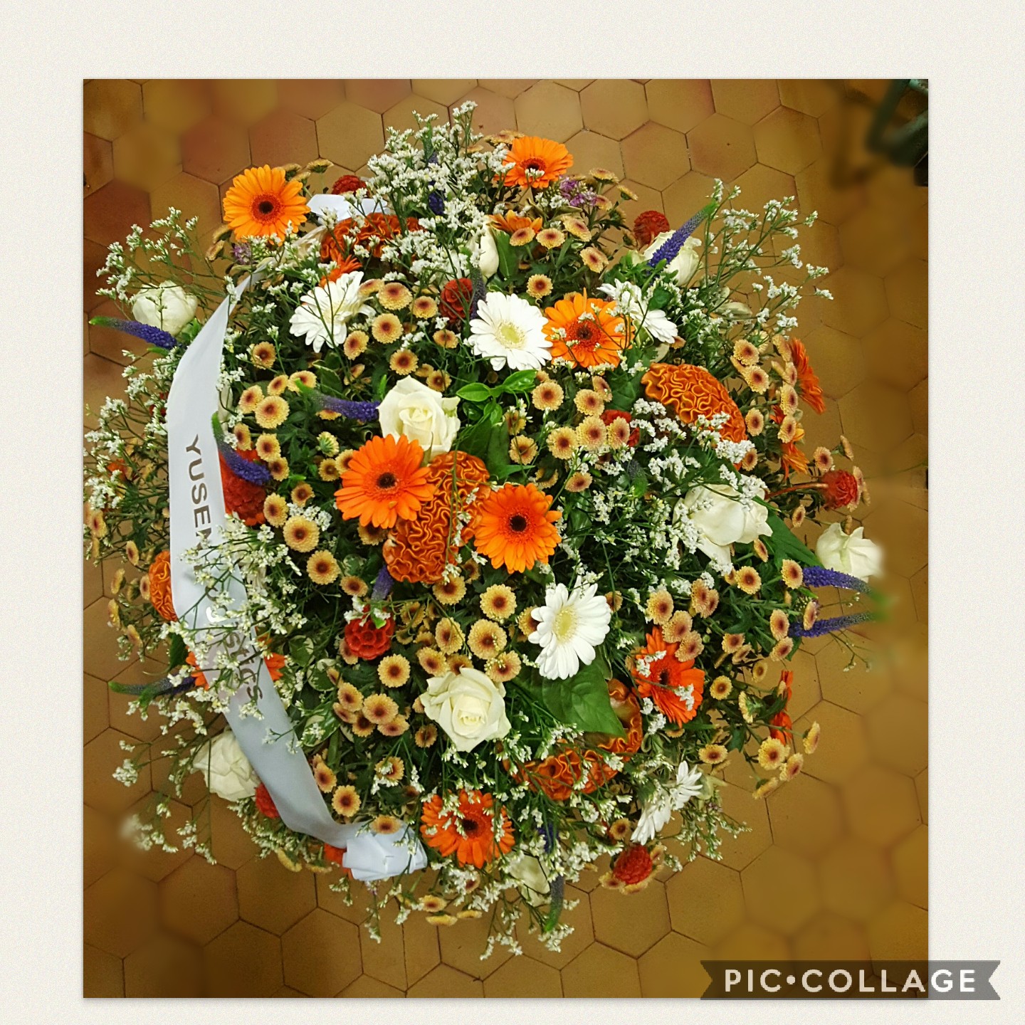 Collage 2017 11 09 10 16 13