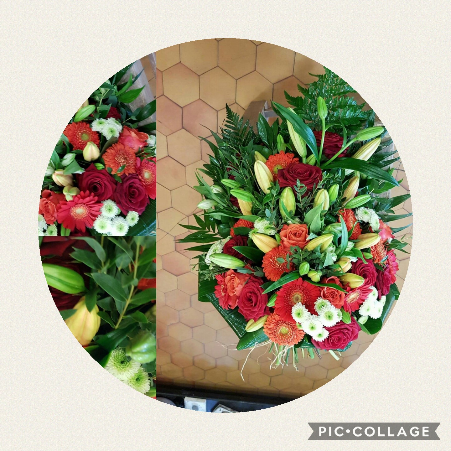 Collage 2017 11 09 13 53 07