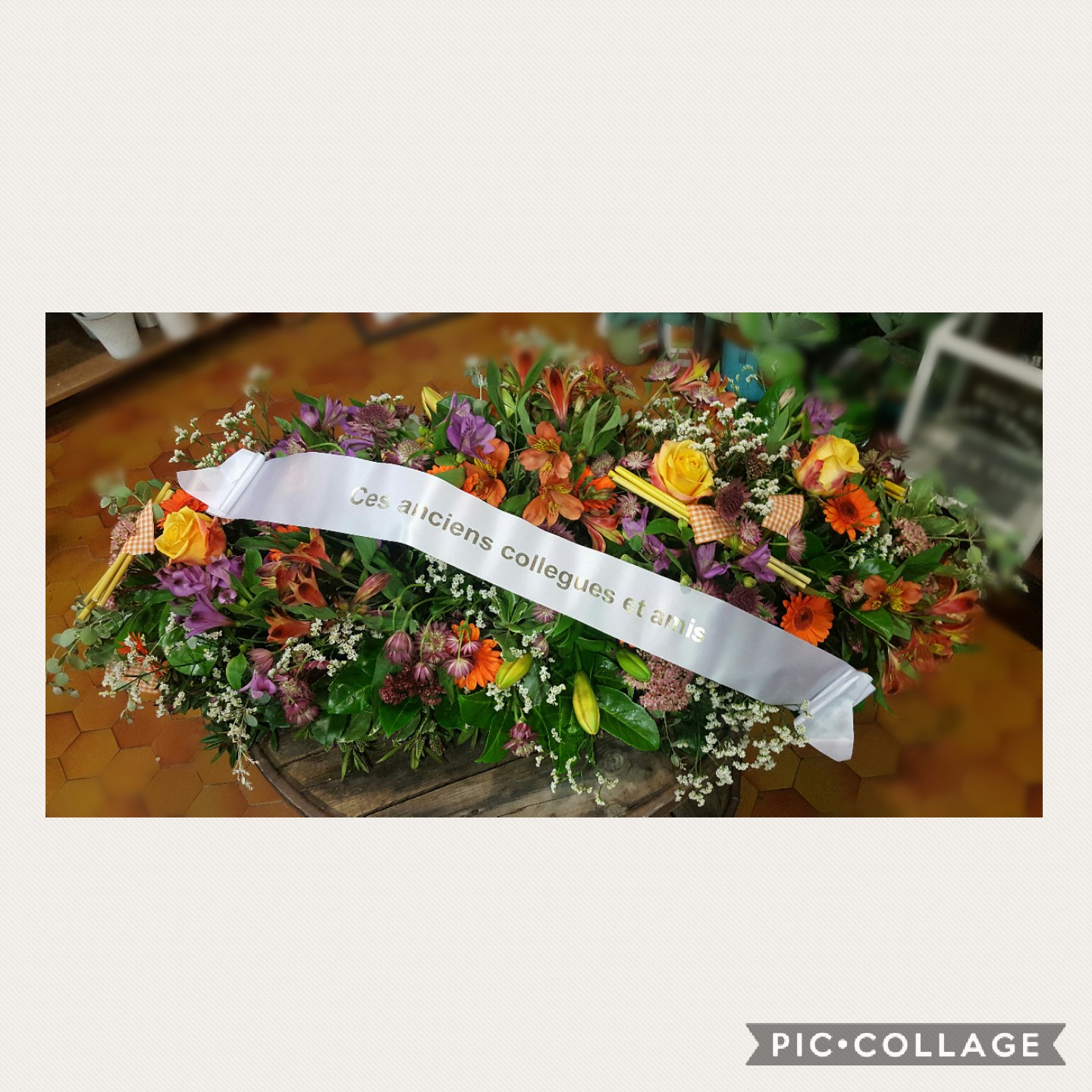 Collage 2017 11 09 19 22 06