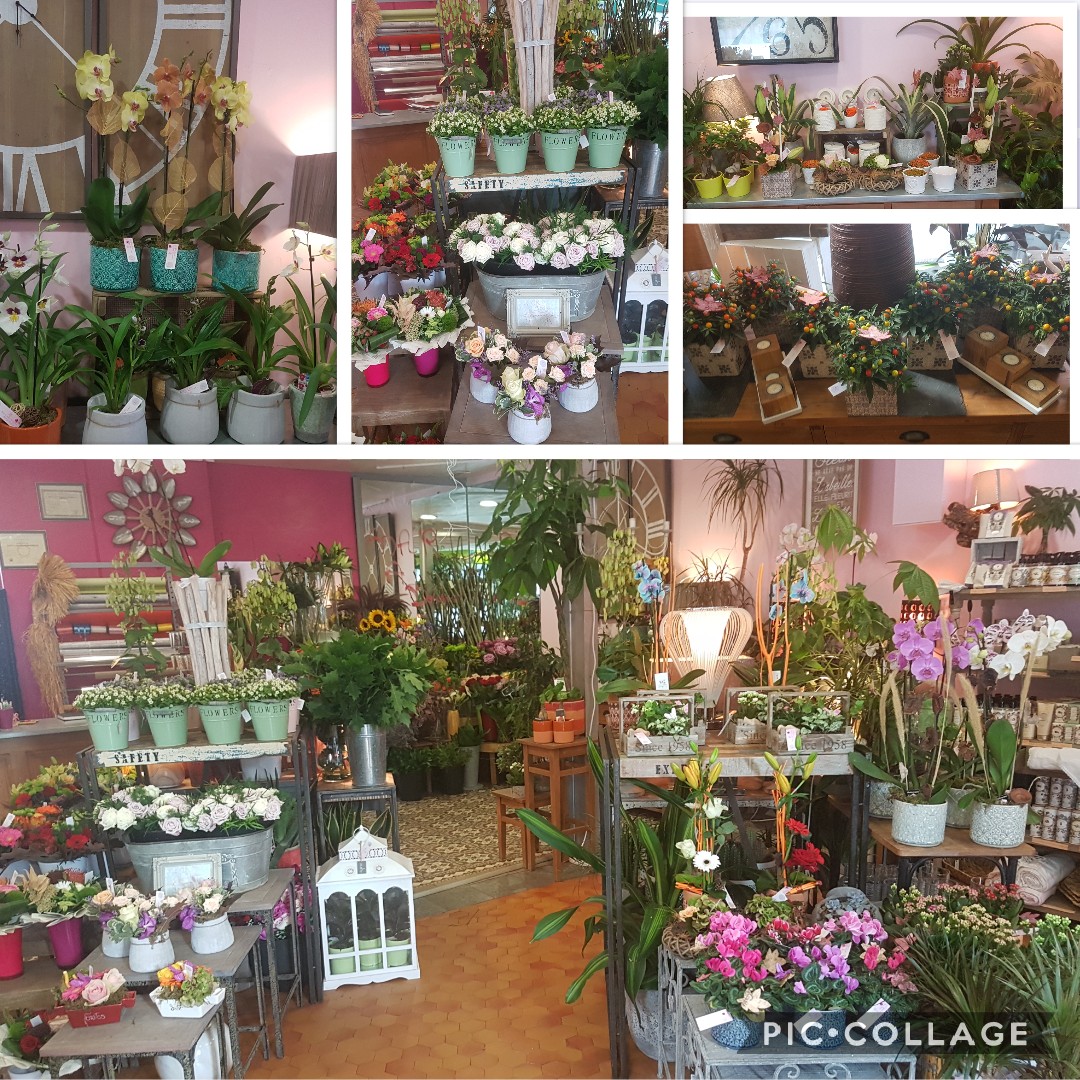 fleuriste Valenciennes hé fleur et moi fleuriste de Valenciennes bouquet plantes decoration