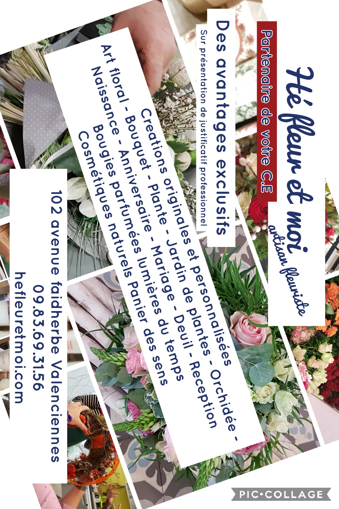 Collage 2019 02 02 09 37 21