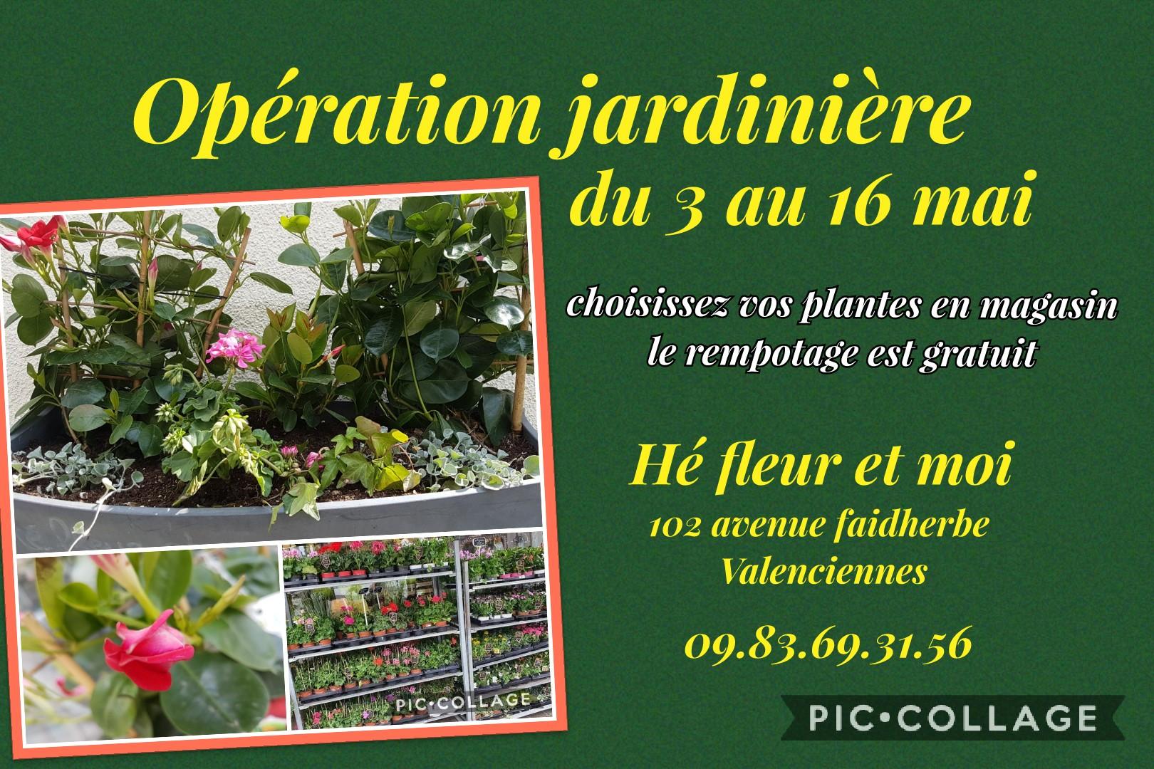 fleuriste valenciennes jardinière