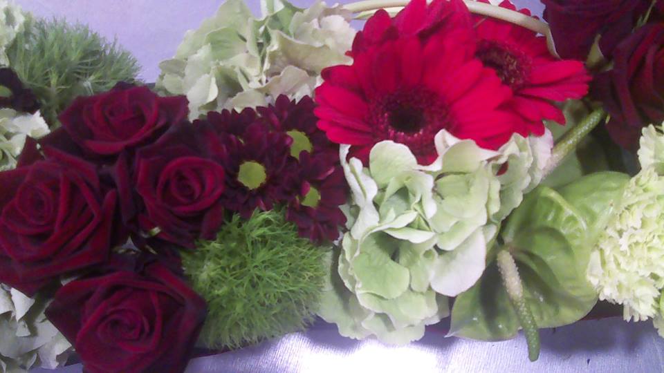 Dessus de cerceuil vert et rouge2