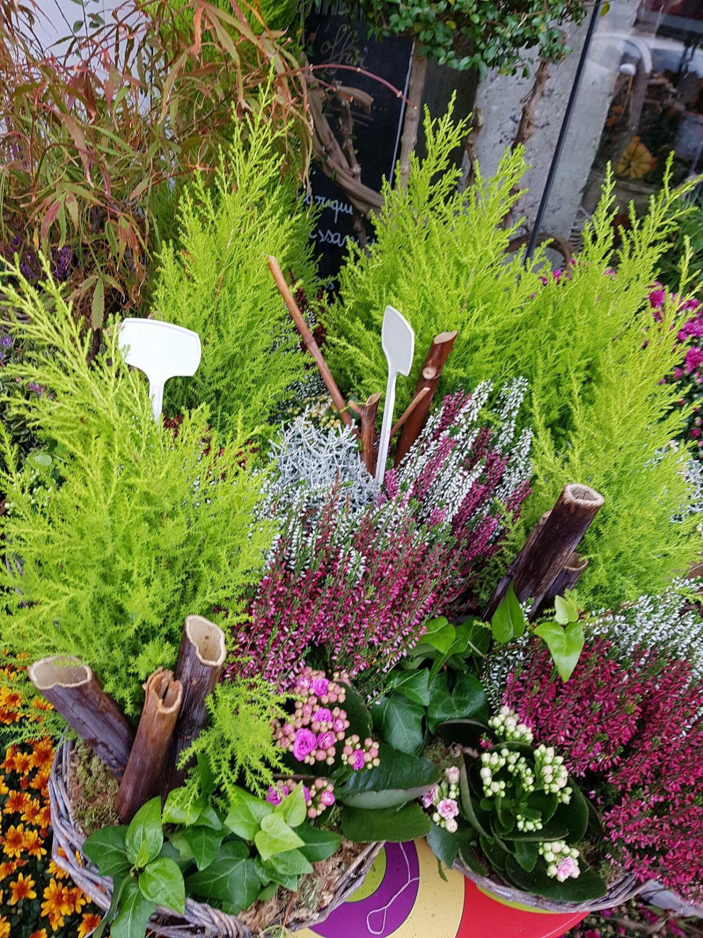 Toussaint Hé fleur et moi Valenciennes fleuriste