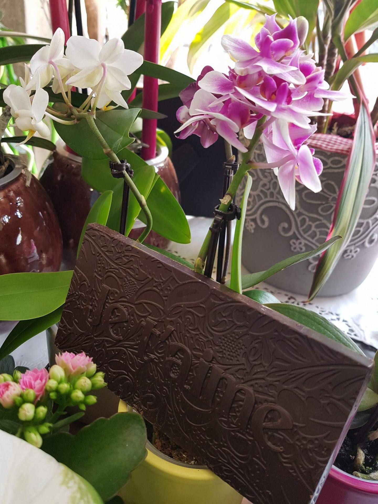 Pour la fête des mères votre fleuriste de Valenciennes Hé fleur et moi c'est associé avec un chocolatier français pour accompagner votre bouquet de fleurs d'un chocolat de qualité
