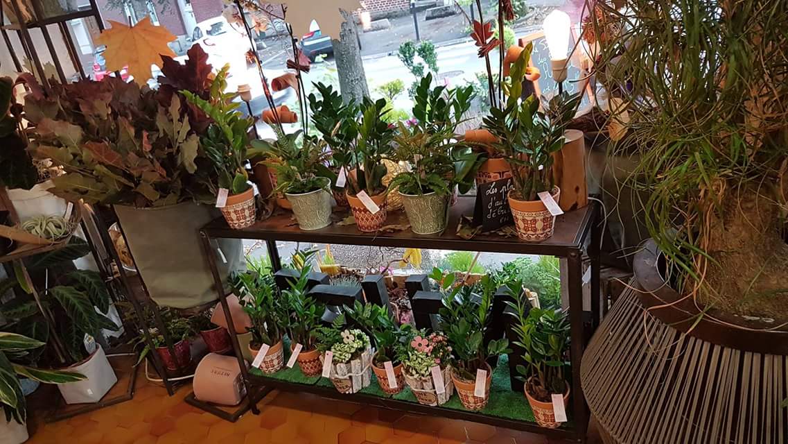 fleuriste Valenciennes a découvrir chez hé fleur et moi