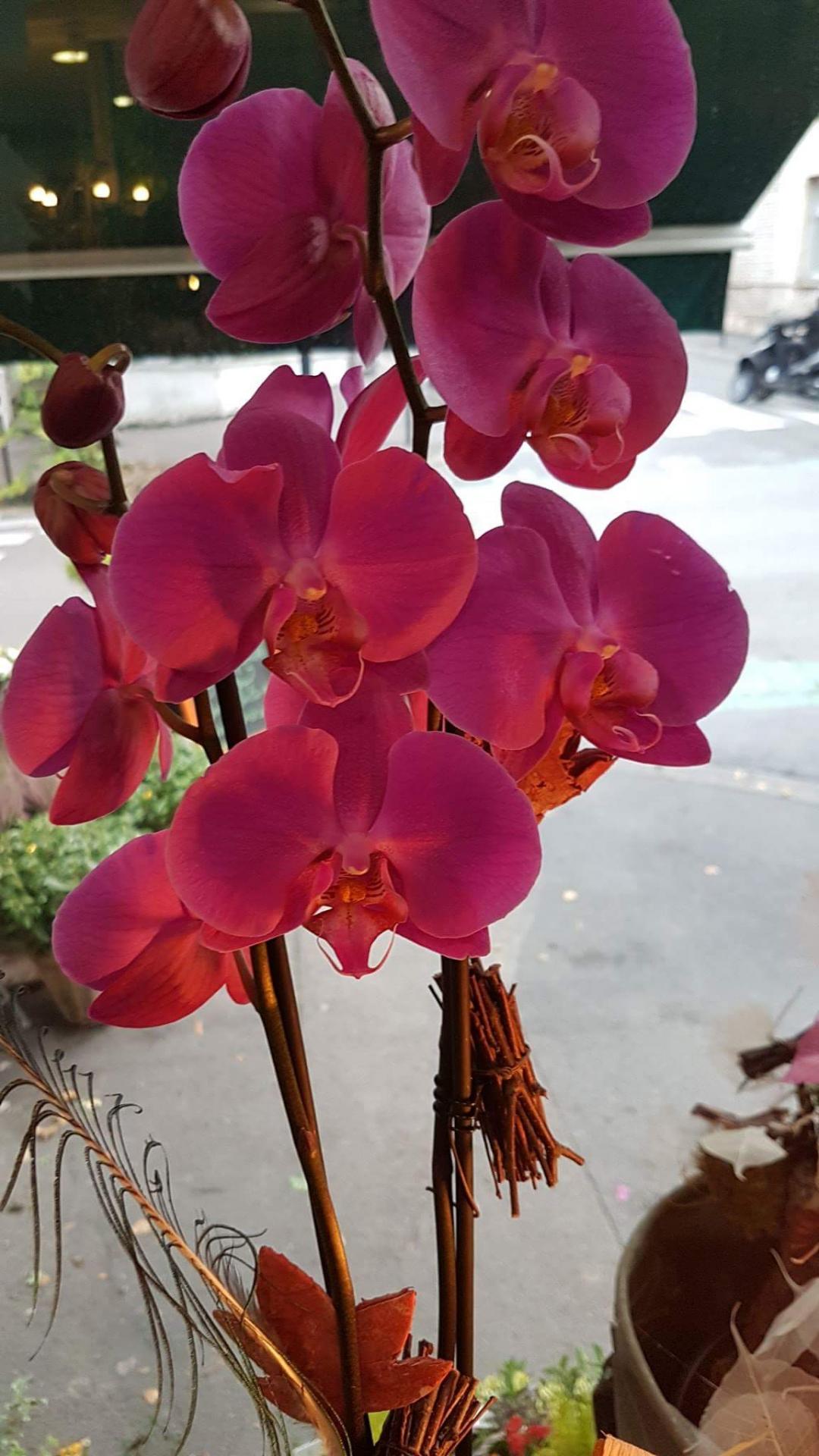 fleuriste Valenciennes a découvrir chez hé fleur et moi
