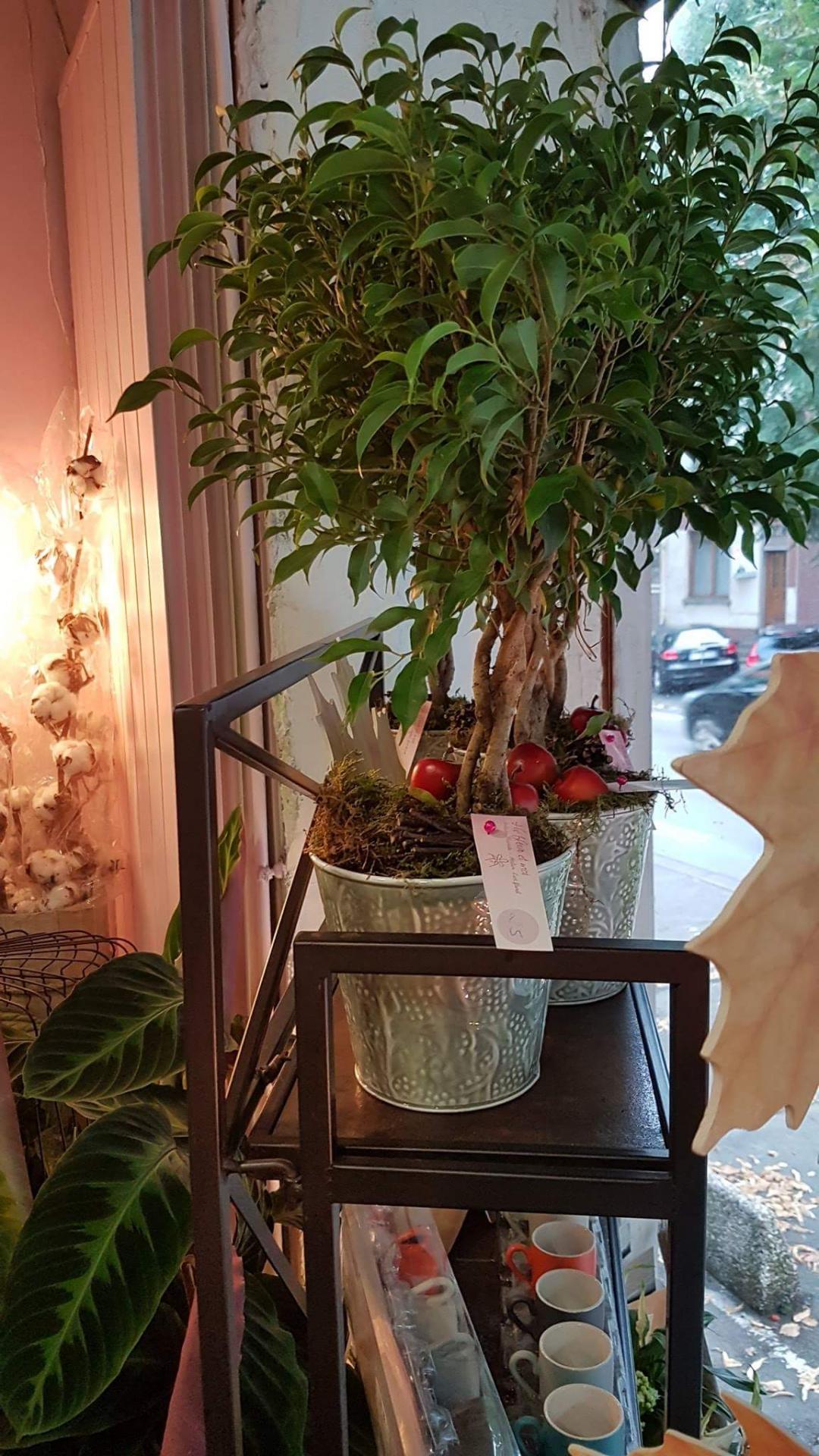 fleuriste Valenciennes a découvrir chez hé fleur et moi