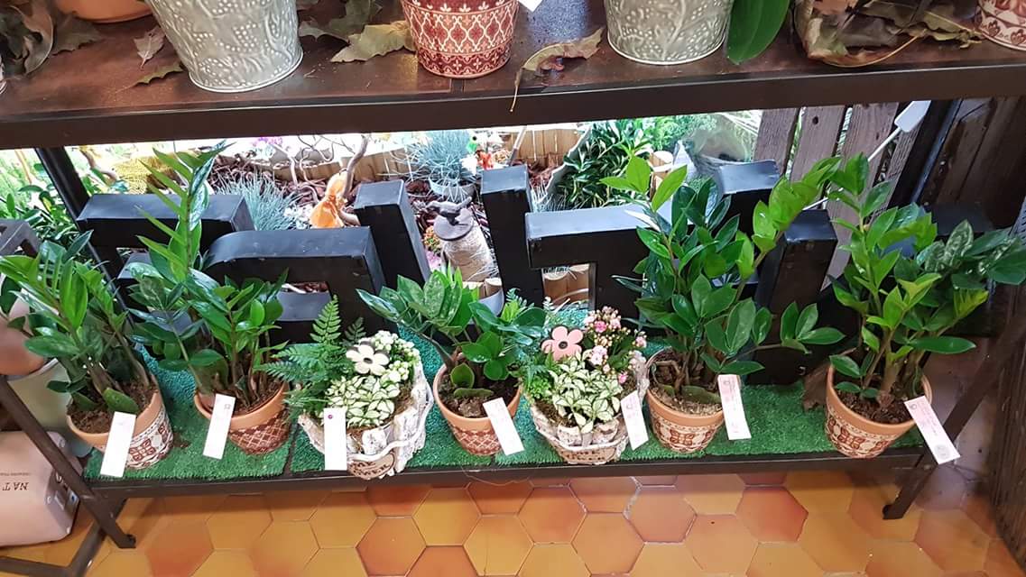fleuriste Valenciennes a découvrir chez hé fleur et moi
