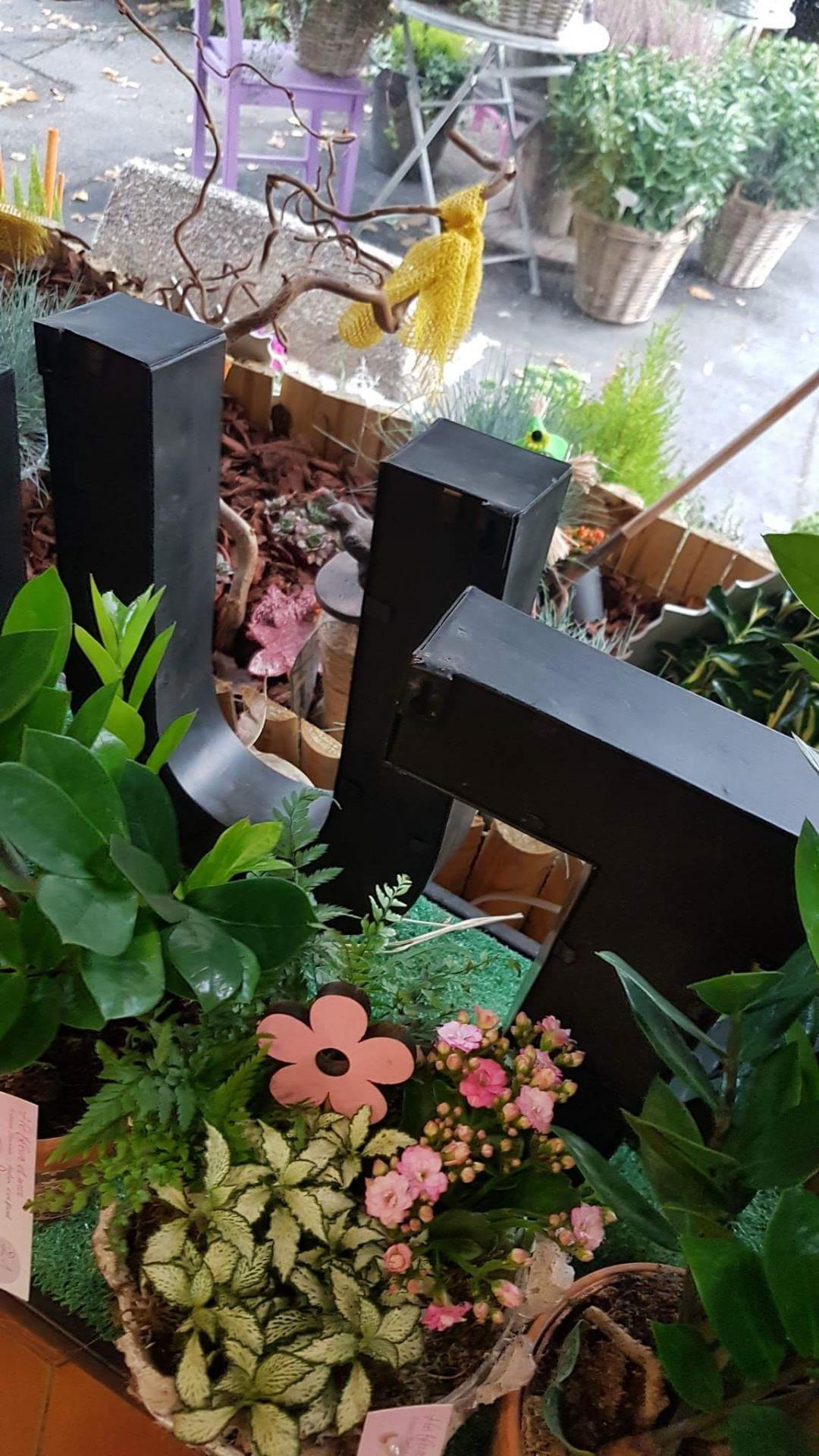 fleuriste Valenciennes a découvrir chez hé fleur et moi