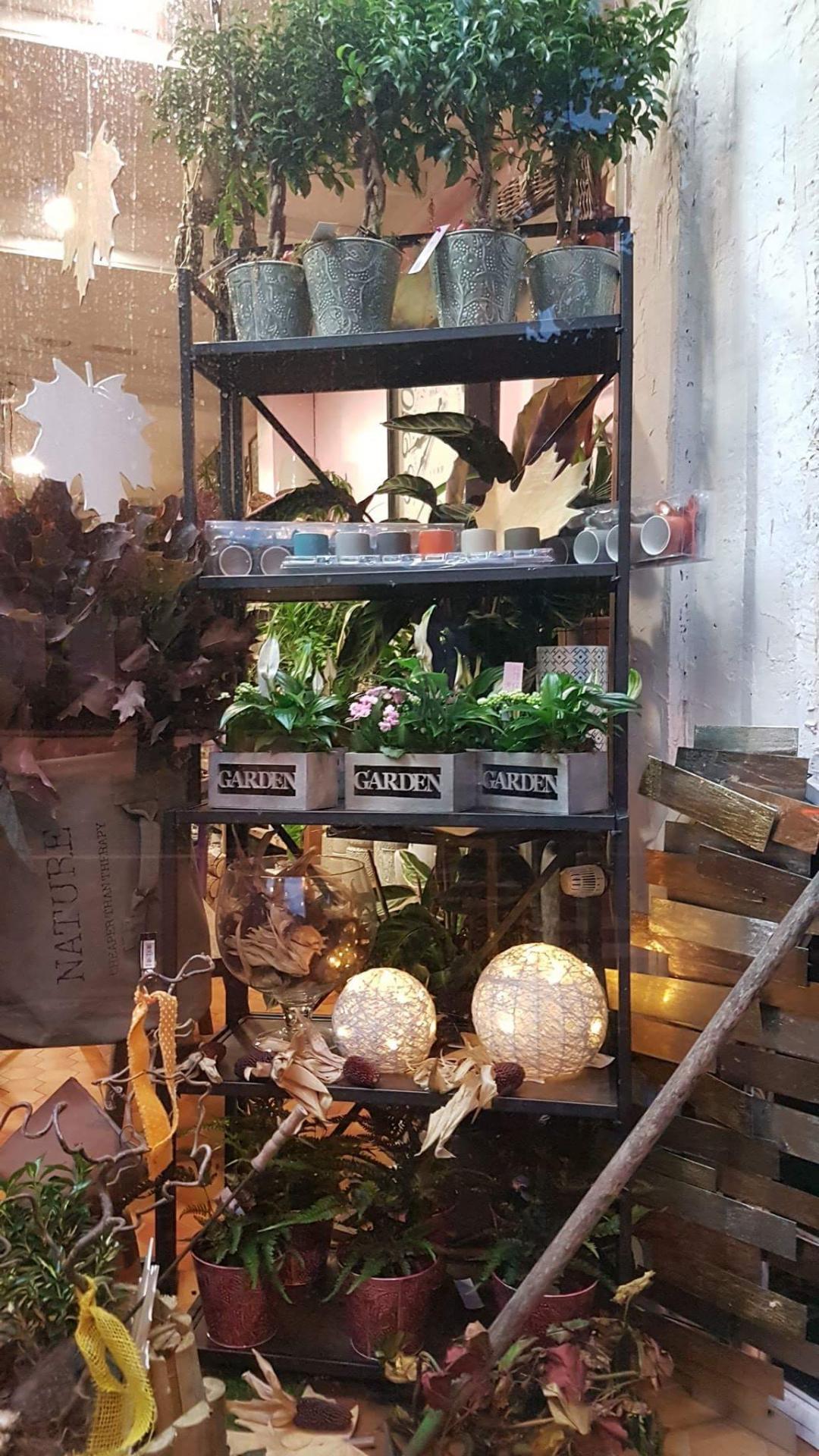 fleuriste Valenciennes a découvrir chez hé fleur et moi