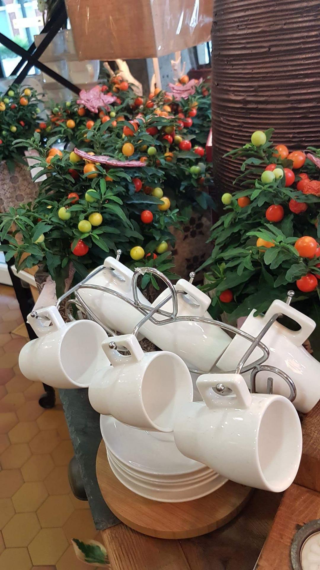 fleuriste Valenciennes a découvrir chez hé fleur et moi