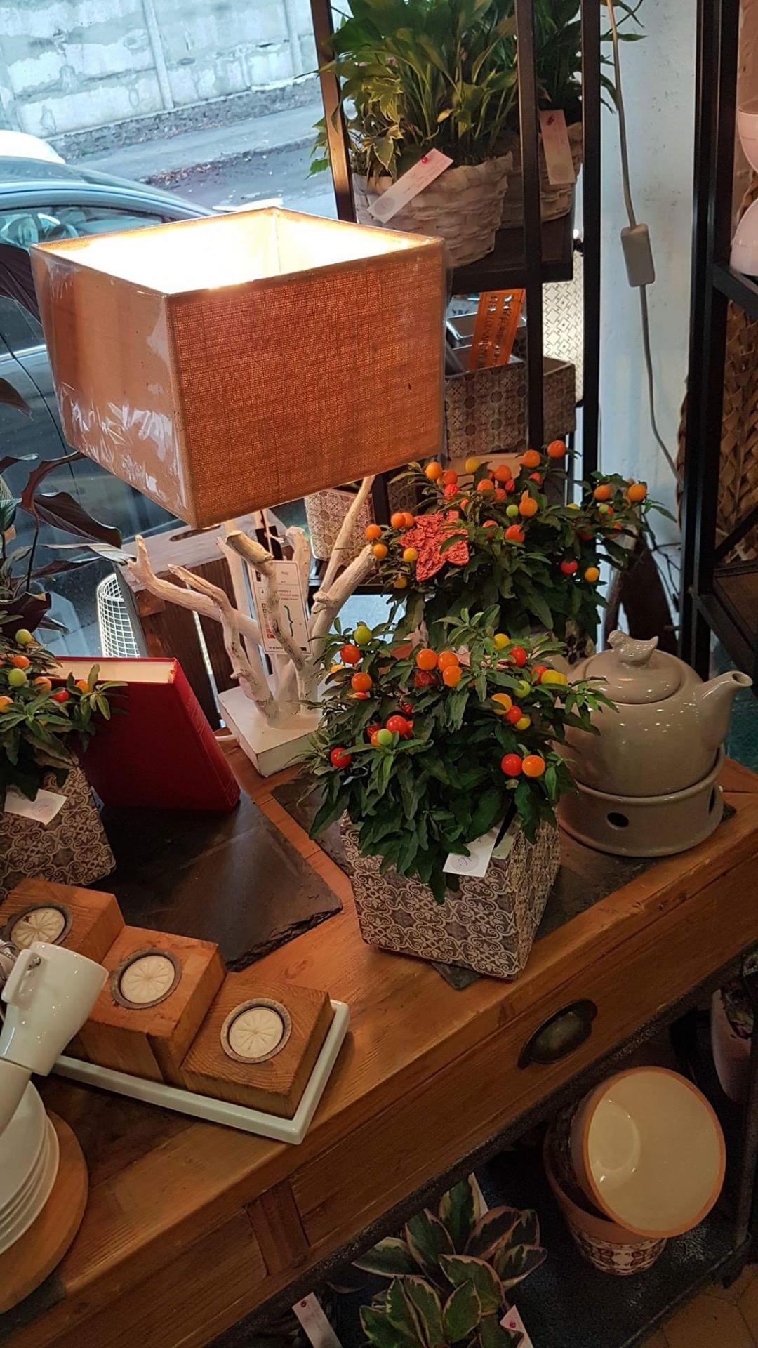 fleuriste Valenciennes a découvrir chez hé fleur et moi