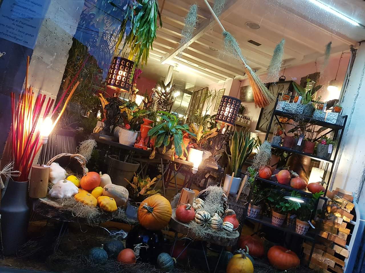 fleuriste de Valenciennes hé fleur et moi citrouille d'automne