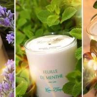 bougies parfumées hé fleur et moi fleuriste Valenciennes La sentinelle Anzin Petite Forêt Aulnoy lez Valenciennes Saint Amand Hé fleur et moi fleuriste