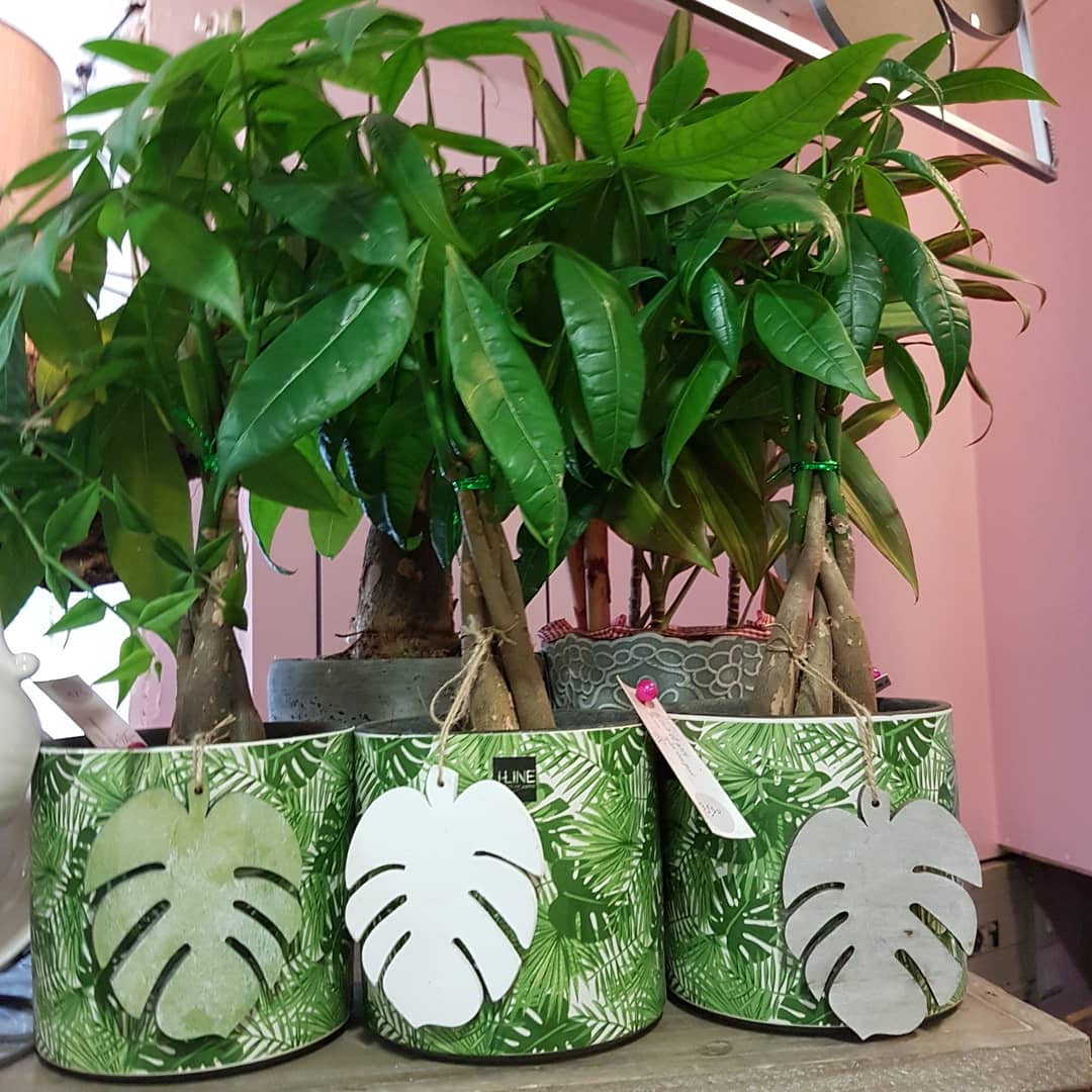 L'été chez hé fleur et moi fleuriste de Valenciennes idée cadeau