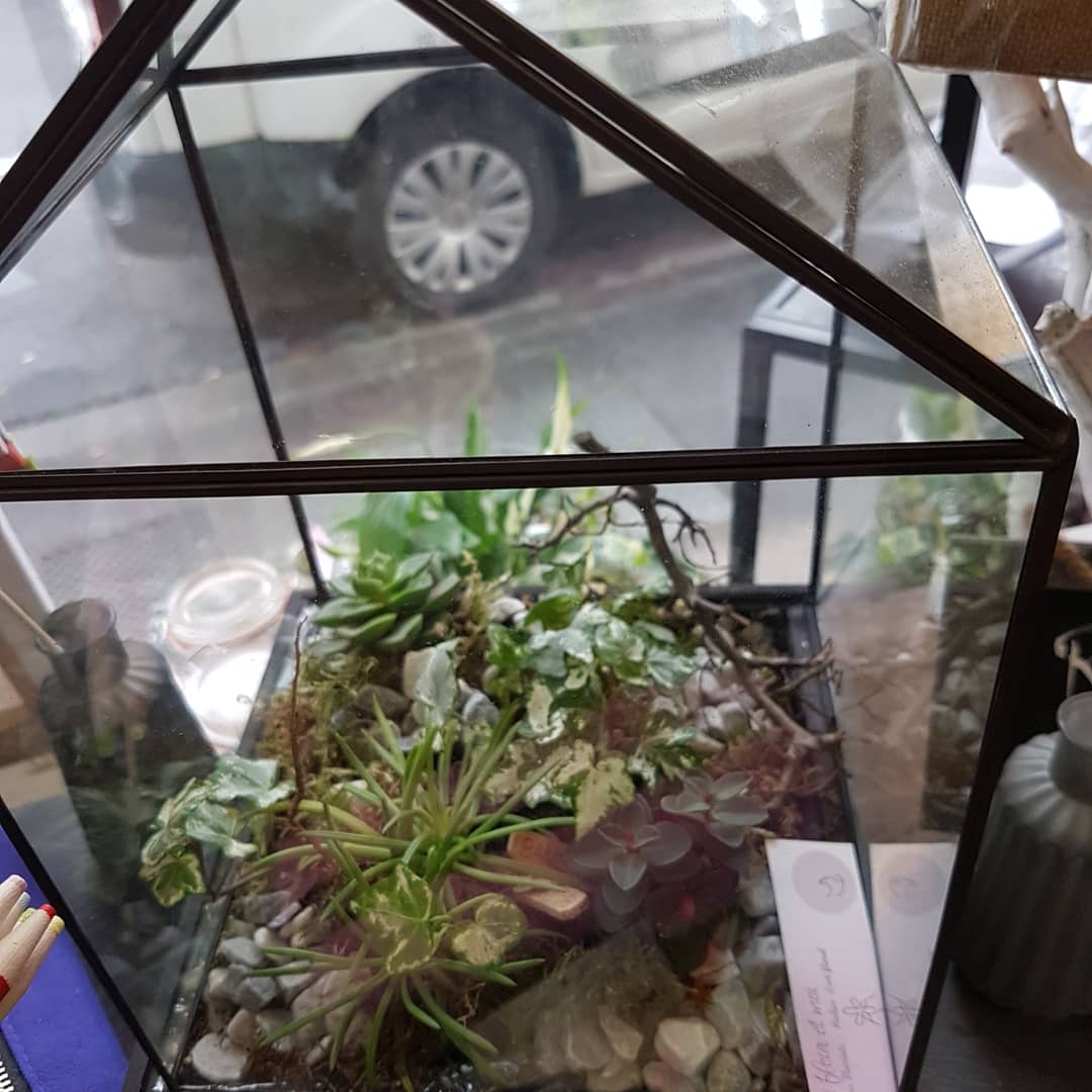 Les terrariums chez hé fleur et moi fleuriste de Valenciennes idée cadeau