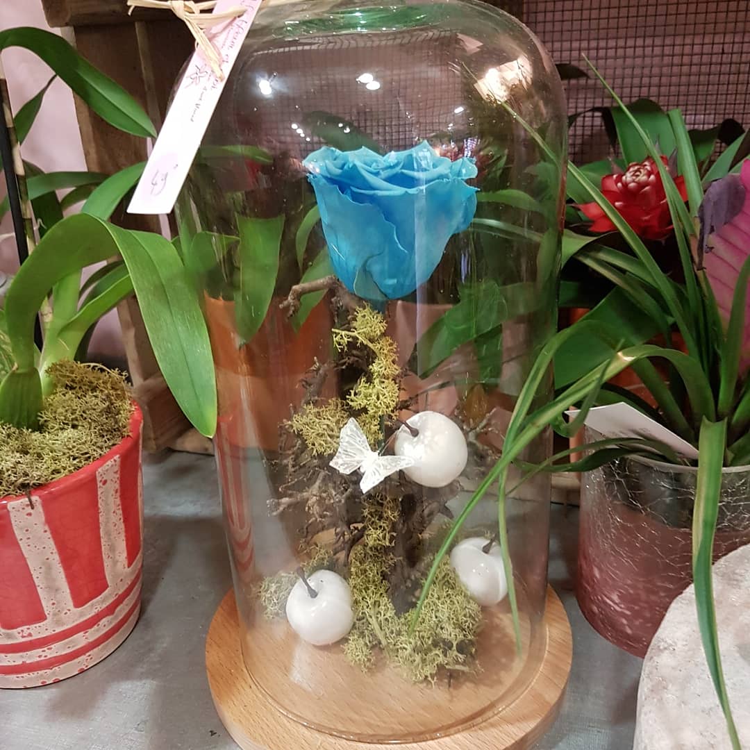 Fête des pères chez hé fleur et moi fleuriste de Valenciennes idée cadeau