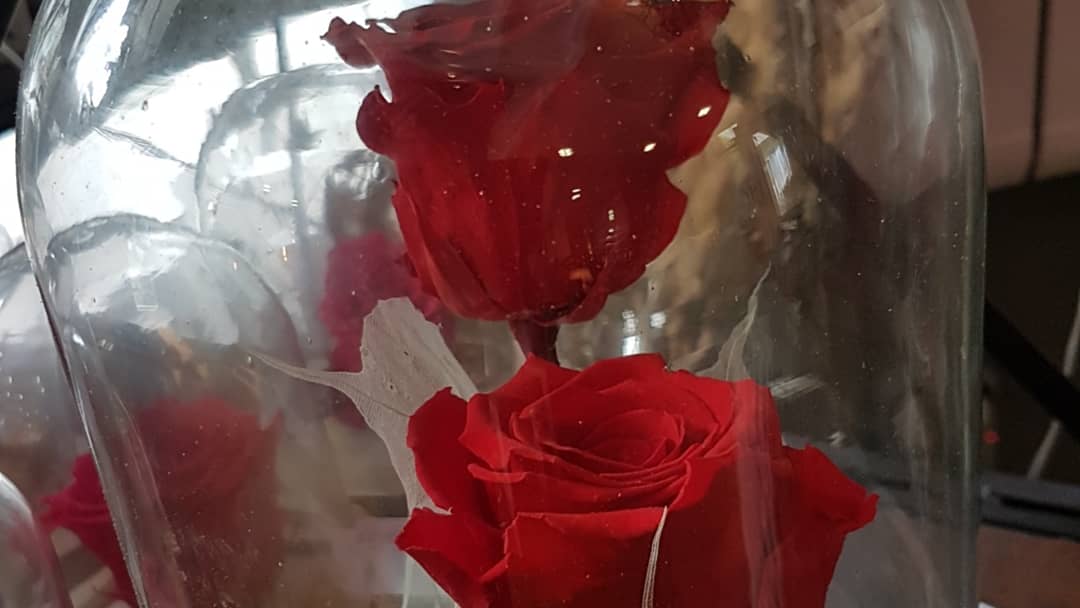 Rose éternelle Chez Hé Fleur Et Moi Fleuriste Valenciennes