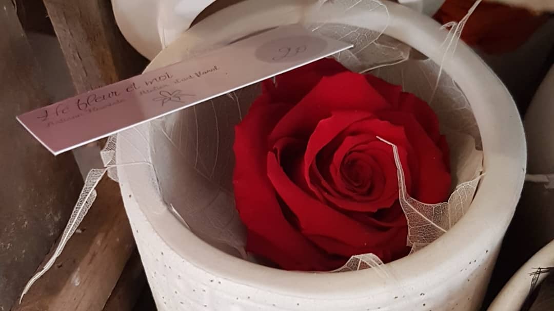 Rose éternelle Chez Hé Fleur Et Moi Fleuriste Valenciennes