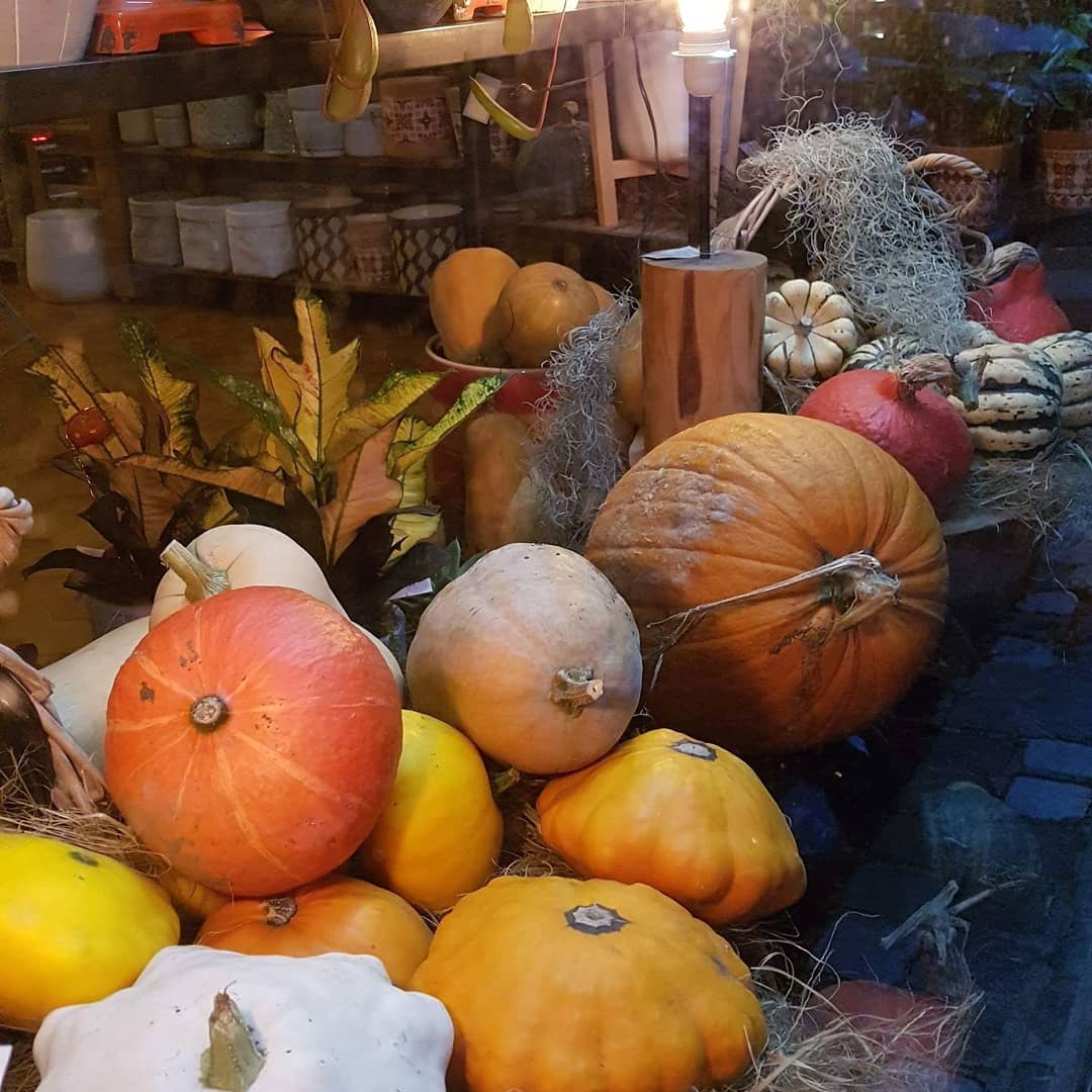 fleuriste Valenciennes a découvrir chez hé fleur et moi citrouille d'automne