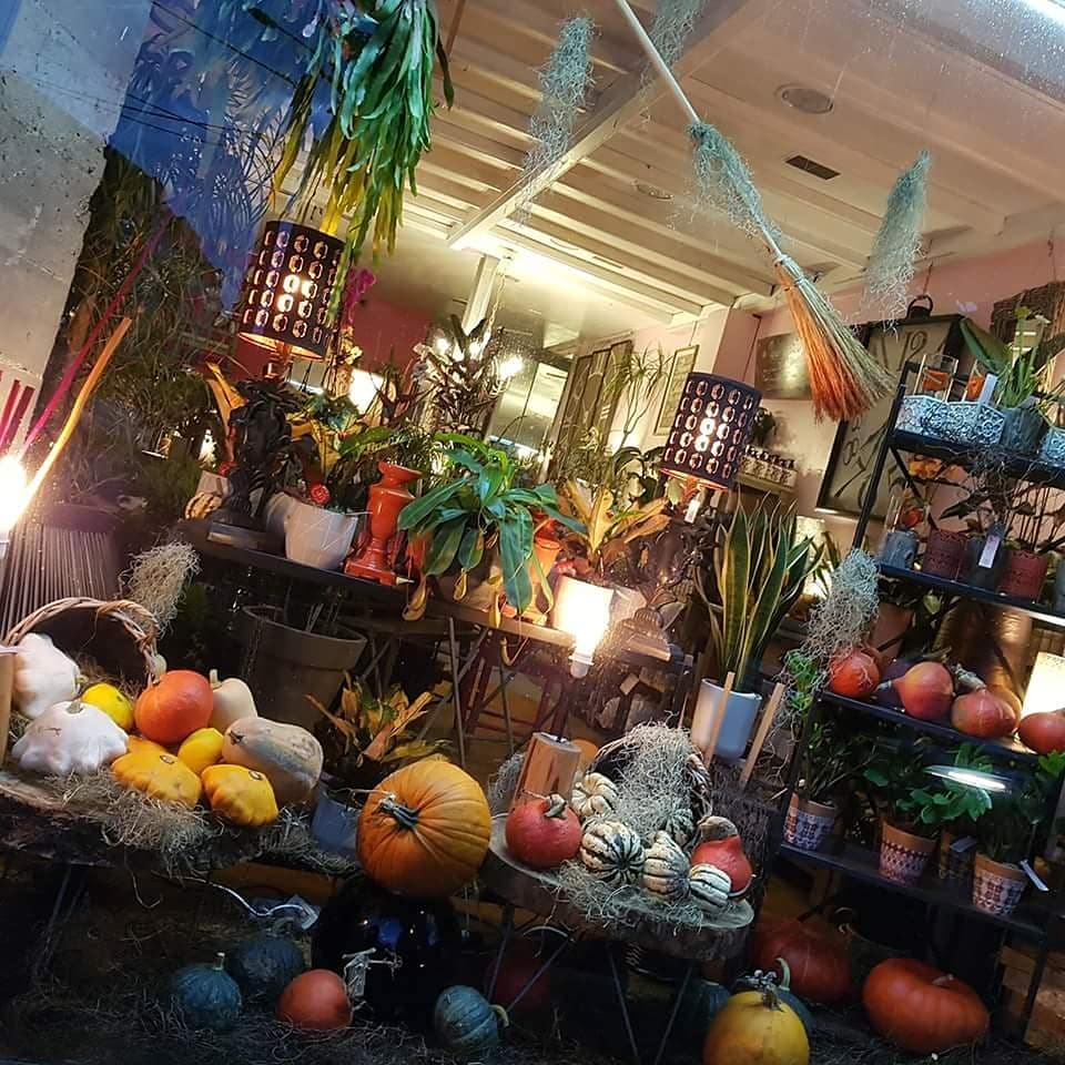 fleuriste Valenciennes hé fleur et moi citrouille d automne