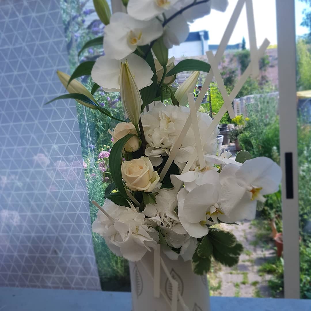 Img 20190707 095407 443