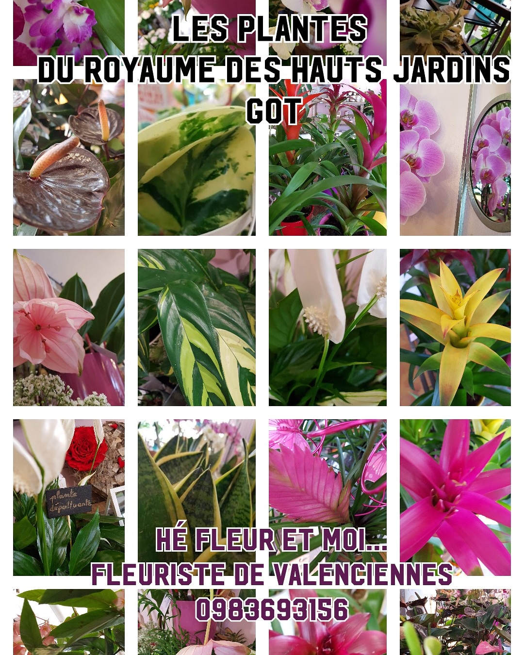 Img 20190710 151754 392