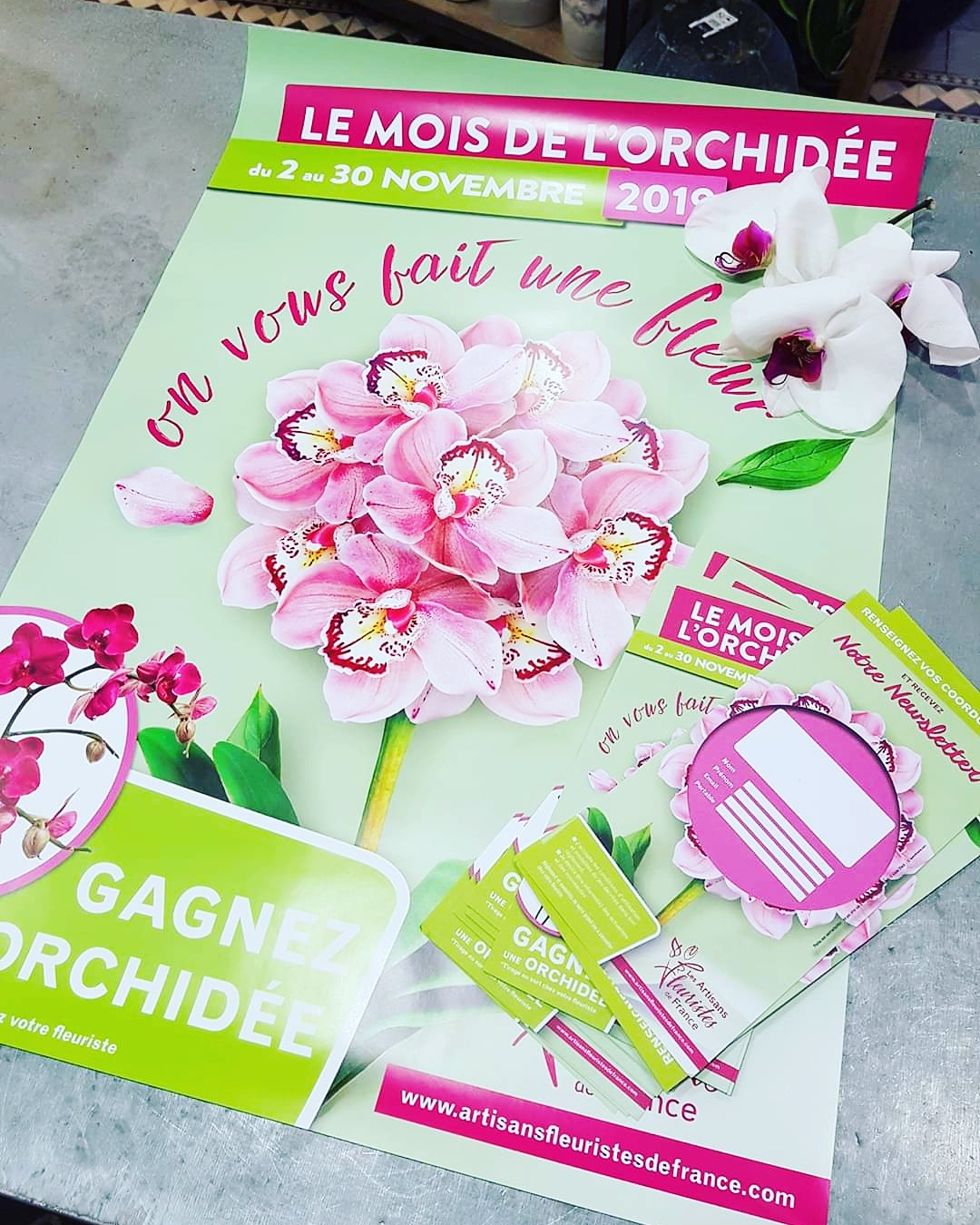 Orchidée jeu concours Hé fleur et moi fleuriste de Valenciennes