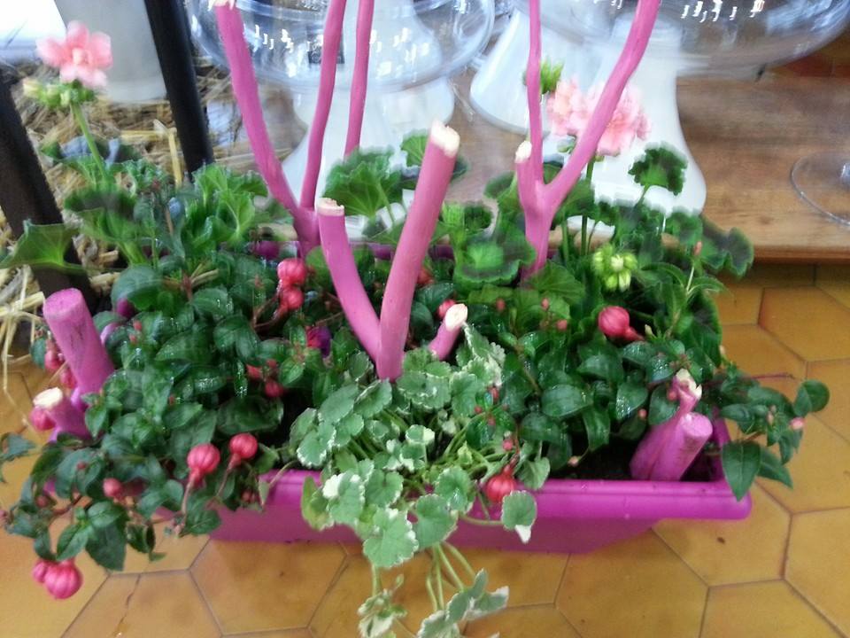 Jardiniere